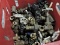 Lot of Various Gate Valves -- Approx. 30