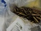 Lot of Shell Casings and Various Rifle Brass