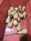 Lot of 20 AWLS with Mechanic's Box -- NEW Vintage Inventory