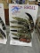 REGAL MARTIN Pocket Knife Display with 8 Knives Included