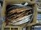 Lot of Various Copper Tube, Hose and Tubing - NEW Old Stock