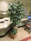 Faux Office Plant - Apprx. 82