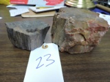 2 Pieces of Petrified Wood - Battery Pictured for Scale