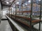 9-Sections of Angled Pallet Rack with Roller Shelves / Each Section: 8' X 75