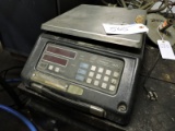 Pennsylvania S400 Commercial Scale and Toledo Brand Platform Scale