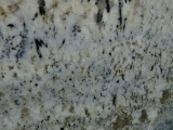 Last Minute Addition - Biscotti White Granite