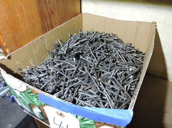 Huge Lot of Finishing Nails -- See Photo