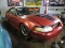 2000 Ford Mustang Coupe / Parts Car