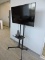 HISENSE - 50H6570F - SMART TV with Stand and Conference Call Speaker