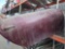 Porsche passenger door - 996 / 986 - burgundy