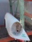 Porsche Passenger Front Fender - 964 - White