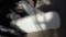 Porsche Passenger Door G Body - 993  - White