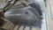 Porsche Driver Door - 996 / 986 - Black