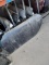 Porsche Driver Door - 996 / 986 - Grey