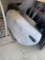 Porsche Driver Door - 996 / 986 - White