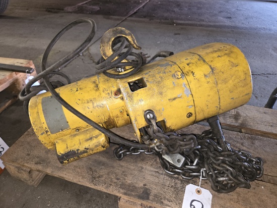 BUDGIT 1-Ton Electric Chain Hoist