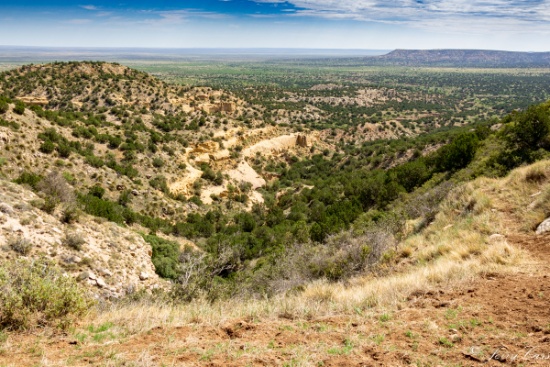 Online Land Auction- Broadview NM