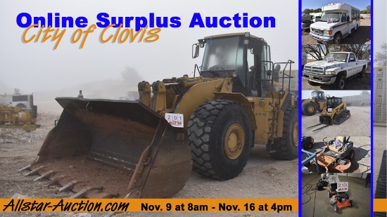 Governmental Online Auction