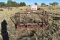 Portable Livestock Scale