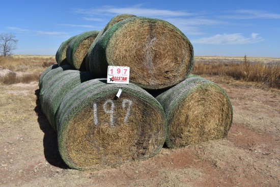 Alfalfa Hay Round Bales