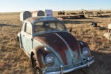 V W Bug