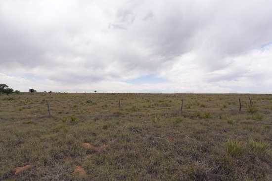 160 Acres +/-