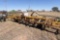 3 Point Hamby Fold Up Sweep Plow