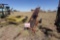 Hay Popup Loader