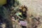 JD Spring Cultivator Parts Only
