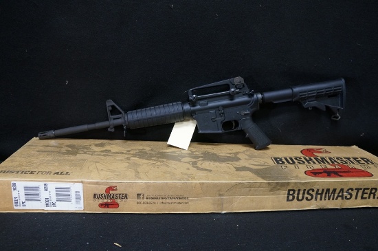 Bushmaster XM15-E2S