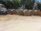 *NOT SOLD*ROUND HAY BALES 5.4 X 5.5