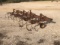 SOLD FIELD CULTIVATOR/ CHISEL/ APPX 16 FT WIDE
