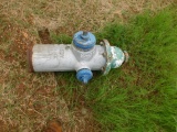 *SOLD* FIRE HYDRANT