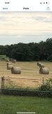 *SOLD*5x5 COASTAL ROUND BALES HAY/ FERTILIZED/ WEED KILLED NEAR BASTROP TX.