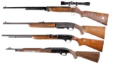 Three Semi-Automatic Rifles and One Air Gun