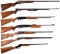Six Sporting Longarms and One Air Rifle