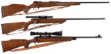 Three Bolt Action Rifles