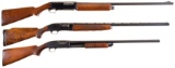 Three Winchester Shotguns