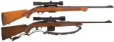 Two Scoped Winchester Sporting Rifles