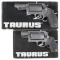 Two Taurus 