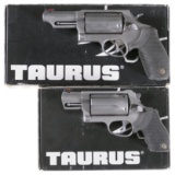 Two Taurus 