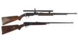 Two Winchester Rifles