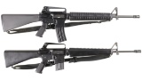 Two Semi-Automatic Rifles