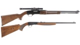 Two Rimfire Rifles