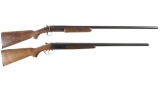 Two Winchester Shotguns