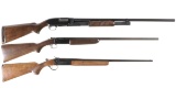 Three Winchester Shotguns