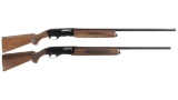 Two Semi-Automatic Shotguns