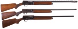 Three Semi-Automatic Shotguns