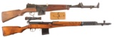 Two European Military Semi-Automatic Rifles