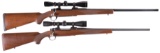 Two Scoped Ruger Bolt Action Rifles